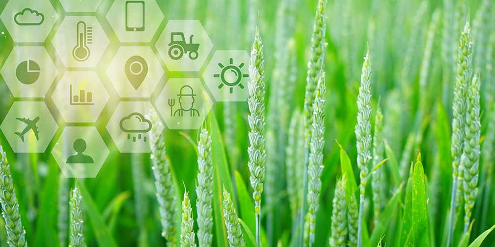 智慧農業的發展現狀及趨勢